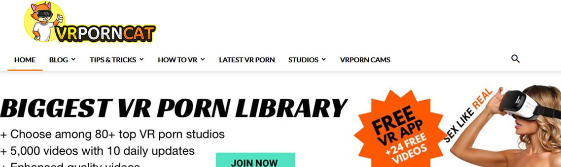 VR Porn Cat